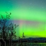 8326188-intens-noorderlicht-aurora-borealis-over-lake-laberge-yukon-territory-canada-met-silhouetten-van-wil